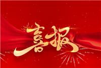 致敬！他们是”最美公交司机“