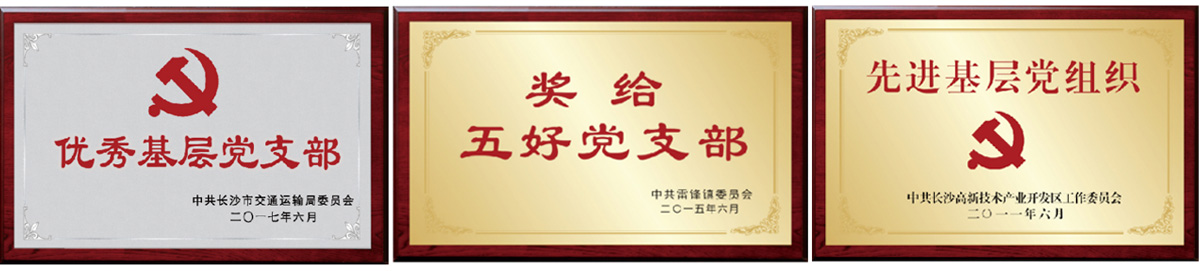 湖南望城县雷锋汽车运输有限公司,长沙城市交通,校车运营,安保服务,新能源科技