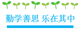湖南望城县雷锋汽车运输有限公司,长沙城市交通,校车运营,安保服务,新能源科技 湖南望城县雷锋汽车运输有限公司,长沙城市交通,校车运营,安保服务,新能源科技